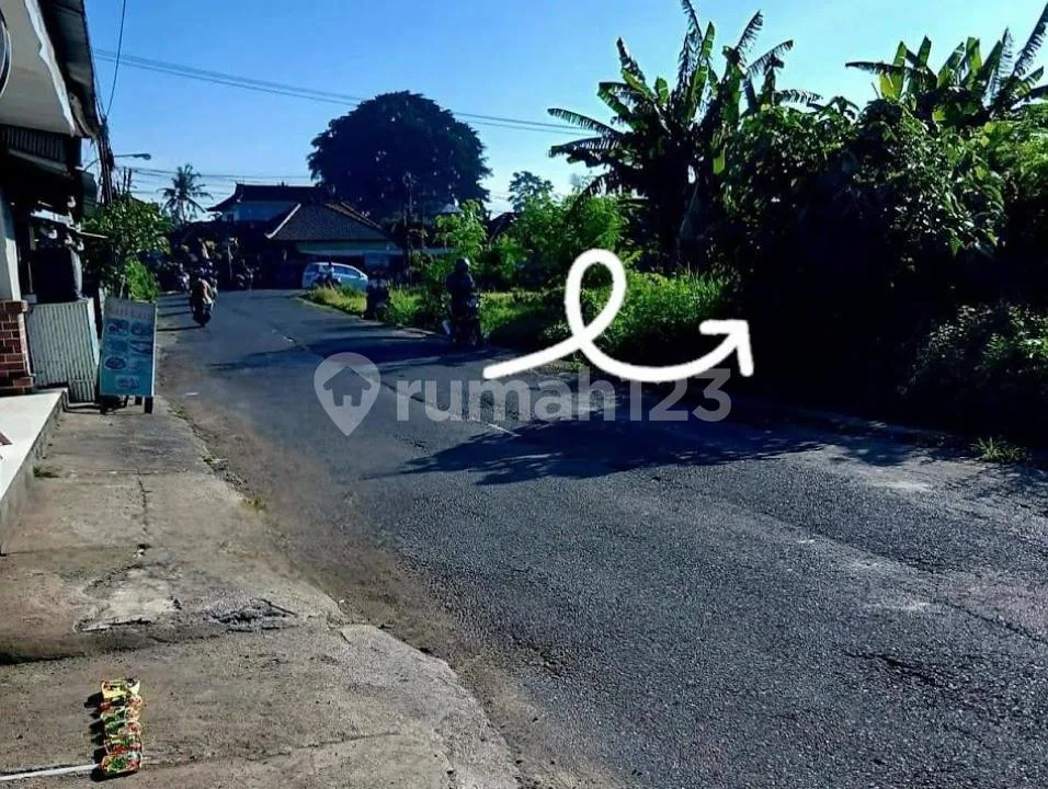 Tanah Murah Strategis Pinggir Jalan Raya Cekomaria Denpasar - Image 2 of 4