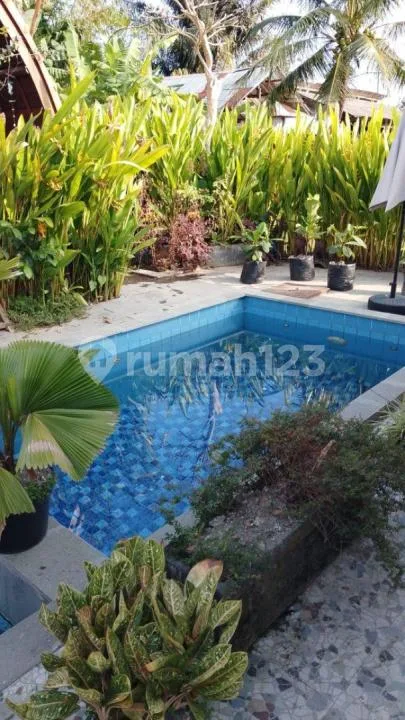 2For Rent Villa Rice Field View Strategis 15 Menutes From Mongkey Forest Center Ubud Bali Indonesia 10 Menutes Mongkey Forest Ubud Very Quit Gtext With Your Camerathe Villa Is In The Middle Of A - Image 4 of 4