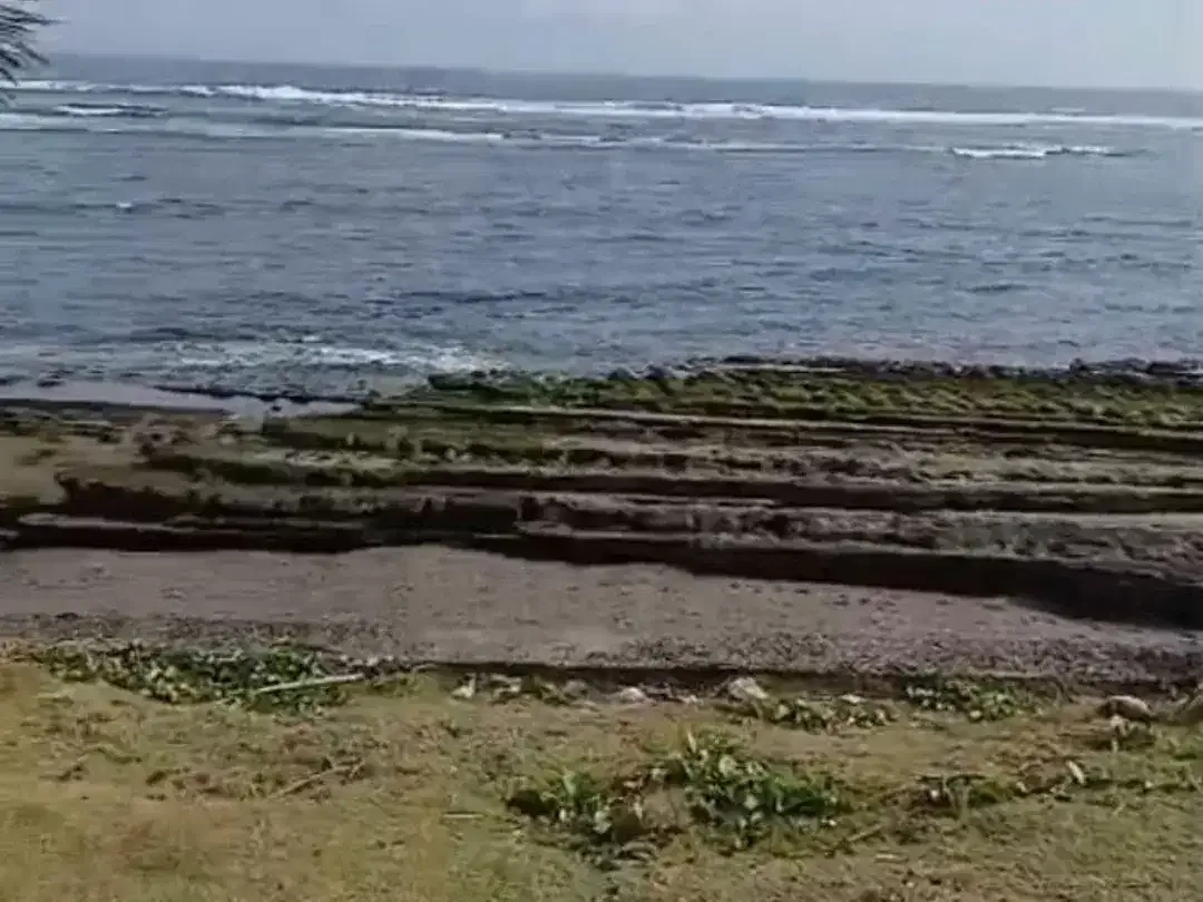 Dijual Tanah Los Pantai 45are Pantai Mengening Cemagi Bali - Image 5 of 7