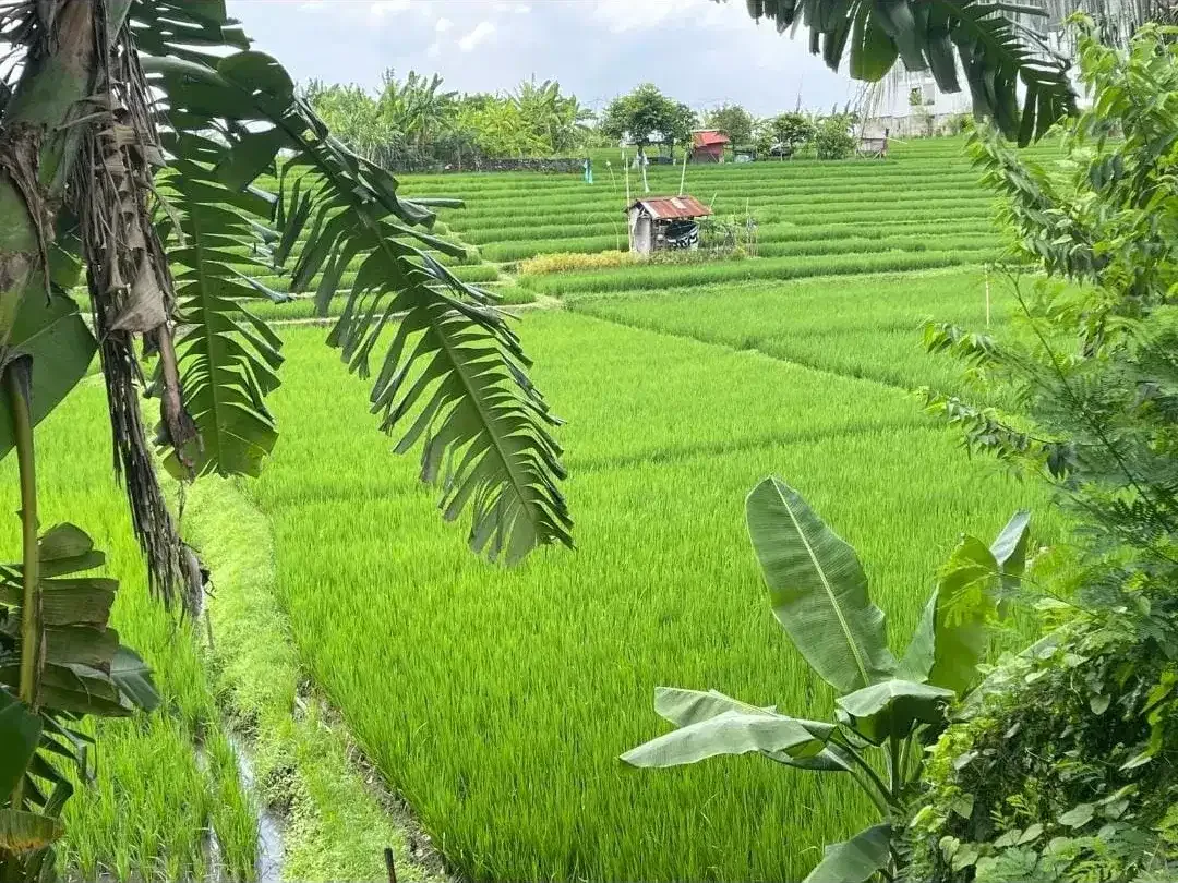 DI JUAL TANAH AKSES JALAN UTAMA ASPAL LOKASI BABAKAN CANGGU - Image 6 of 6