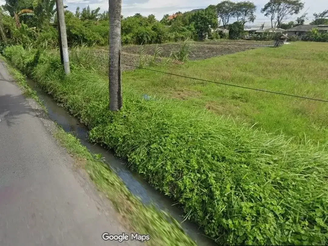 Tanah Disewakan di Jl. Merta Agung, Kerobokan - Image 2 of 5