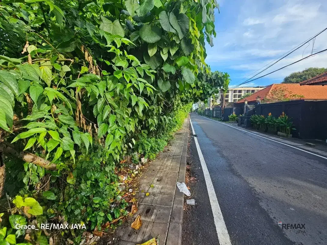 Tanah 75,20 Are Zona Pariwisata Disewakan, di Kedonganan jimbaran - Image 6 of 6