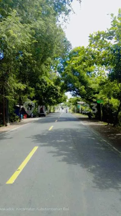 For Sale Beach Front Land In Area Kubutamhan - Image 3 of 4