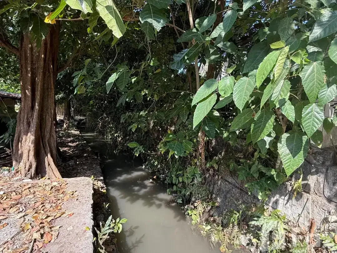 Land for sale in Pererenan, Bali - Image 7 of 7