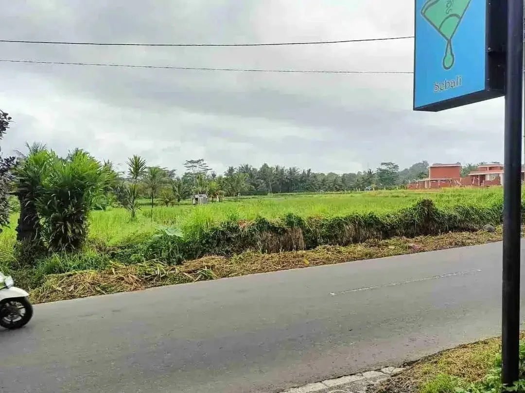 Tanah Pinggir Jalan Raya Sebali Ubud Full View Sawah - Image 3 of 10
