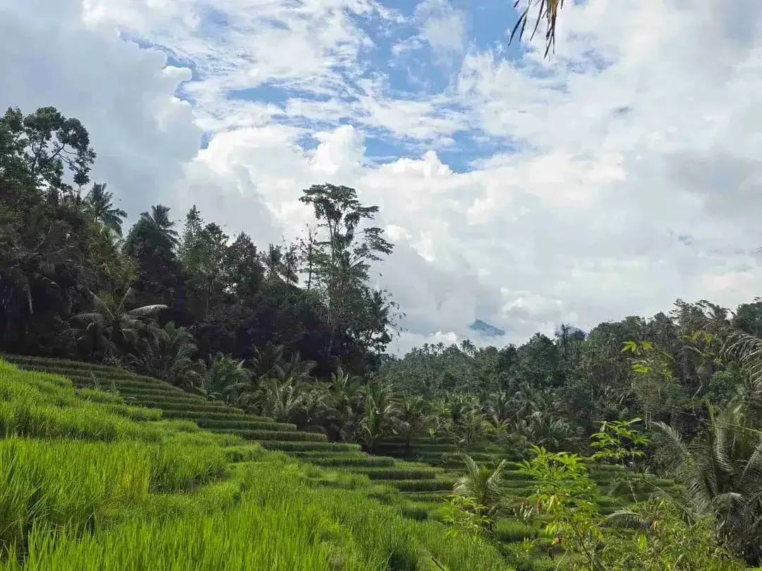 tanah kebun sangat murah dengan view sawah, gunung dan los sungai di tabanan bali - Image 1 of 10