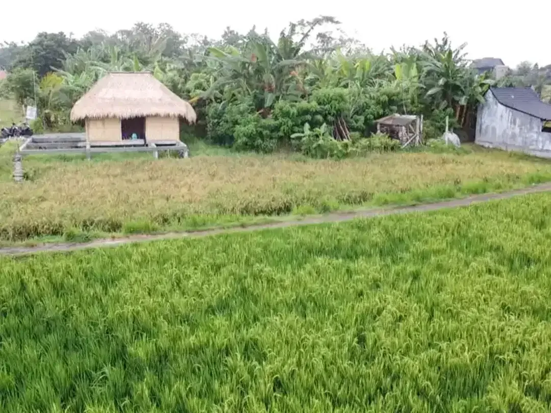 Leasehold - Exclusive Land in Yeh Gangga, Tabanan, Bali - Close to the Beach - Image 5 of 9