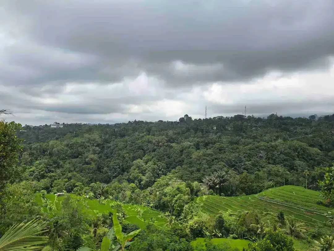 Tanah kebun view tiga gunung dan view sawah sangat panorama - Image 2 of 9