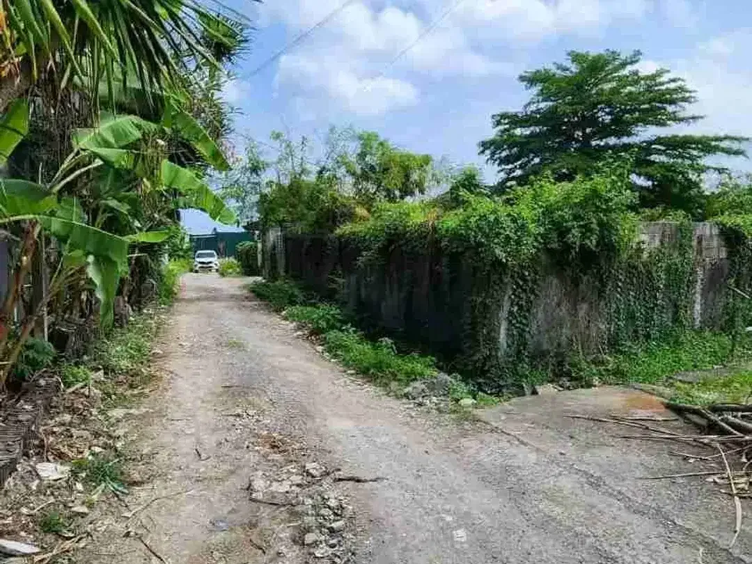 DIJUAL TANAH MURAH PANTAI BRAWA JL KRISNA - Image 5 of 5