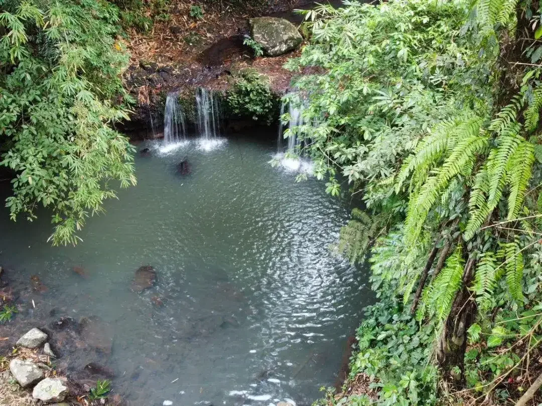 Tanah Tepi Air Terjun Wisata Gunung Salak Selemadeg Tabanan Bali - Image 3 of 9