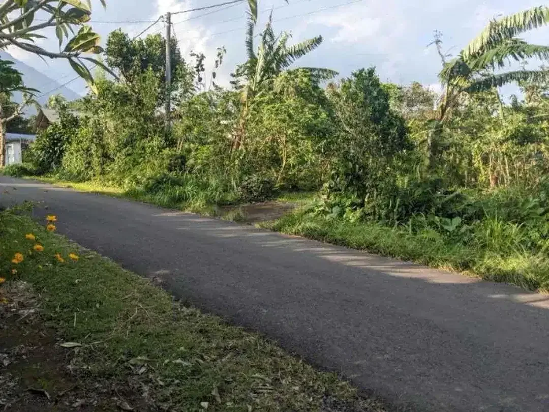 DIJUAL TANAH STRATEGIS DEKAT JATILUWIH TABANAN BALI - Image 5 of 6
