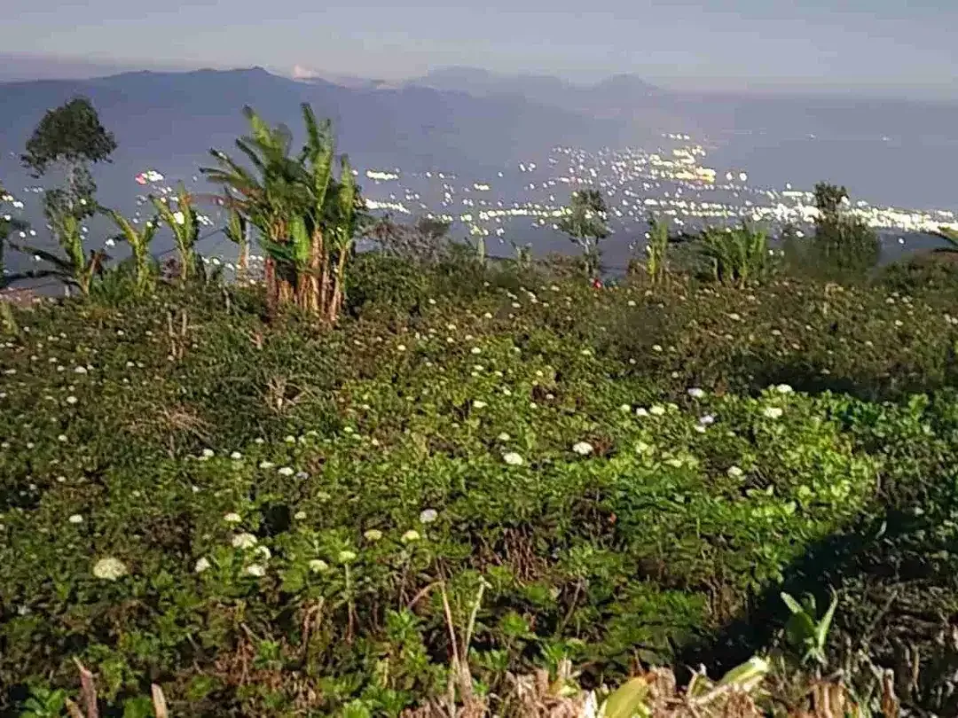 Lahan Premium Buleleng Bali View Pegunungan Luas 6,7 Ha - Image 7 of 8