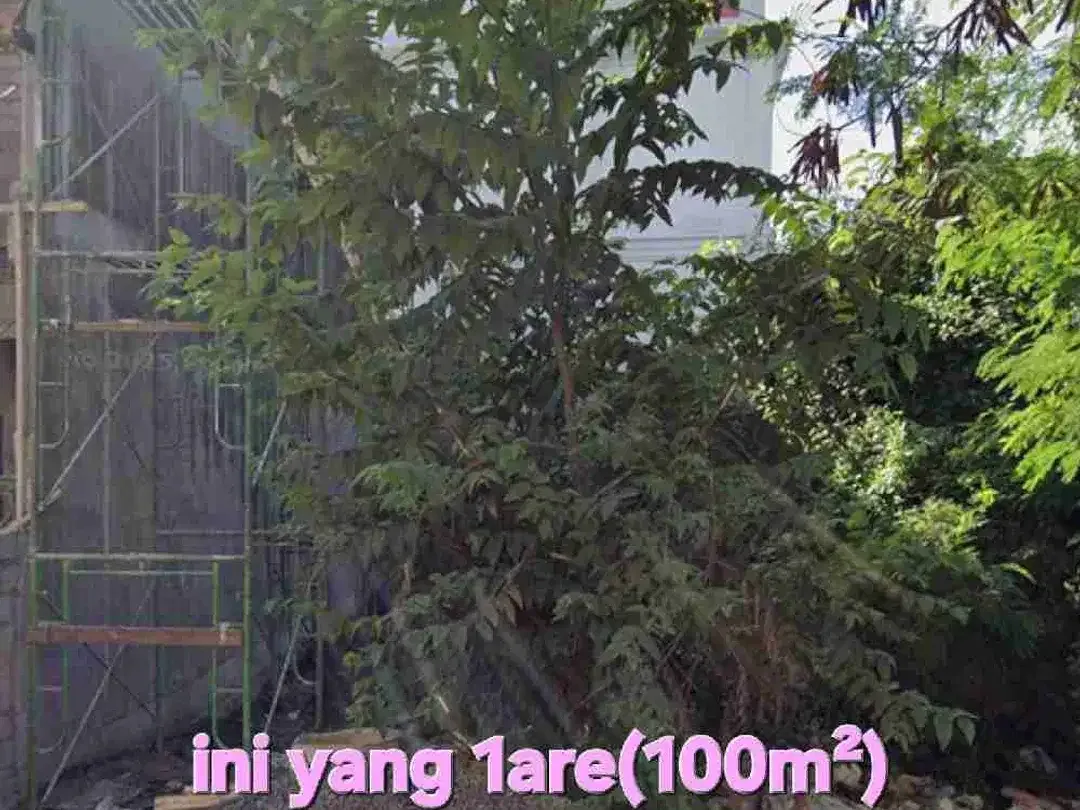 Jual tanah 1are & 1,77are PERERENAN CANGGU, jln sempol Badung Bali - Image 7 of 10