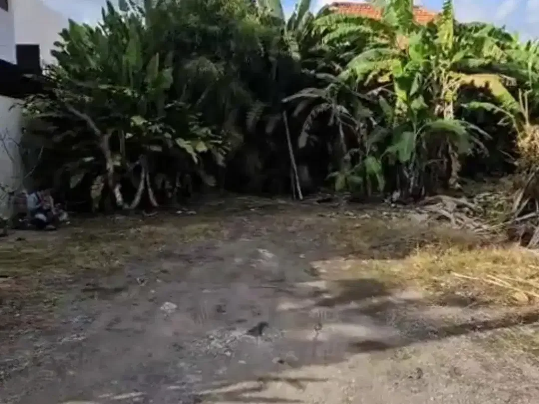 Freehold - Prime 300 sqm Residential Land with Rice Field View, Walking Distance to the Beach in Canggu, Bali - Image 4 of 4