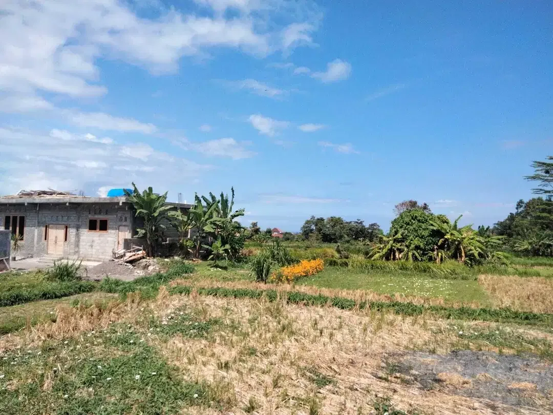 1,5 are Full View Ocean dan Sawah di Gianyar Bali - Image 3 of 6