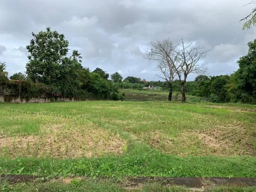 DIJUAL TANAH VIEW SAWAH LOKASI PERERENAN - Image 5 of 10