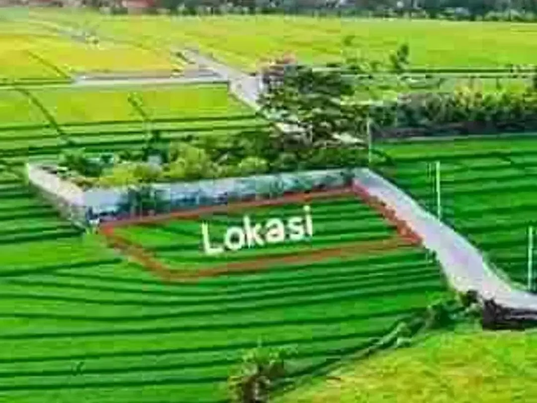 TANAH PREMIUM VIEW SAWAH PANTAI NYANYI - Image 5 of 6