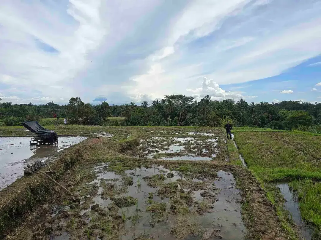 Dijual tanah murah view gunung sawah dan laut di tabanan bali - Image 6 of 9