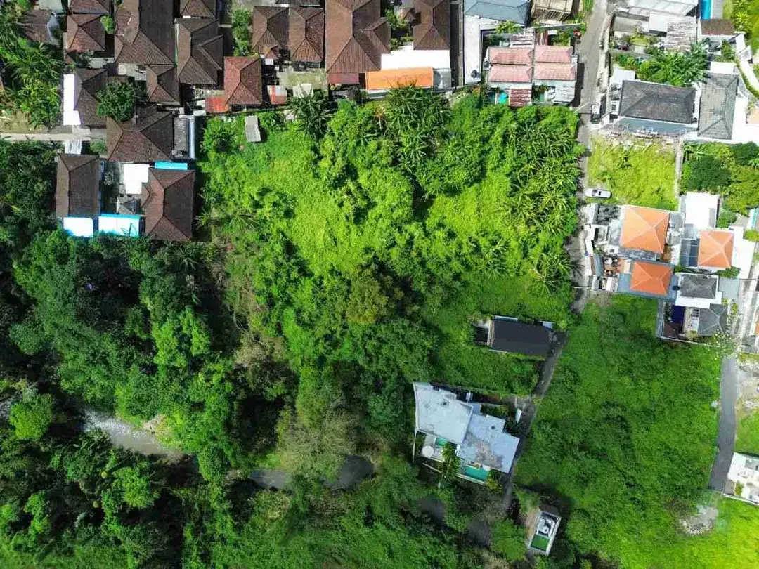 Land for Lease with Rice Field Views in Buduk - Image 4 of 9