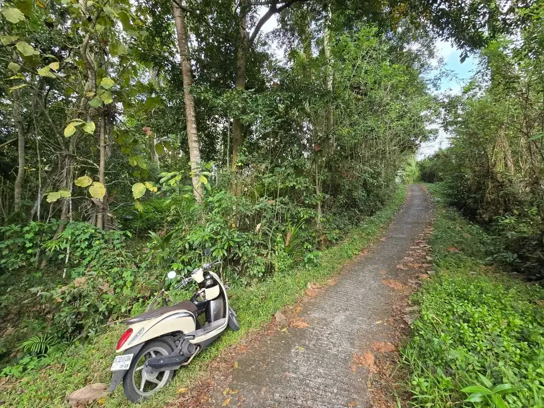 Dijual tanah los sungai view sawah di bali - Image 5 of 10