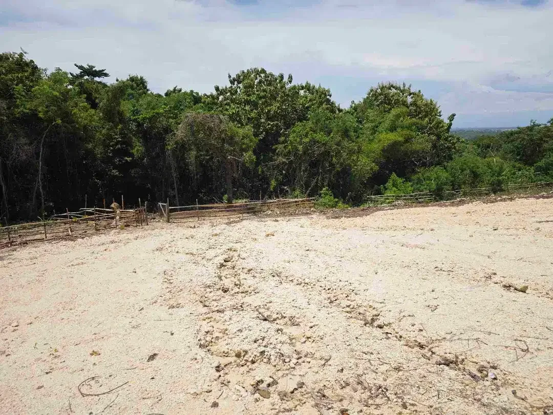 Tanah MURAH Ocean View dekat Tol Nusa Dua - Image 9 of 10