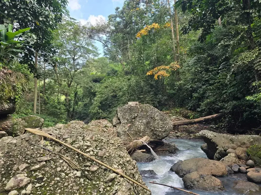 Dijual tanah dengan air terjun dan sungai cantik di bali - Image 3 of 10