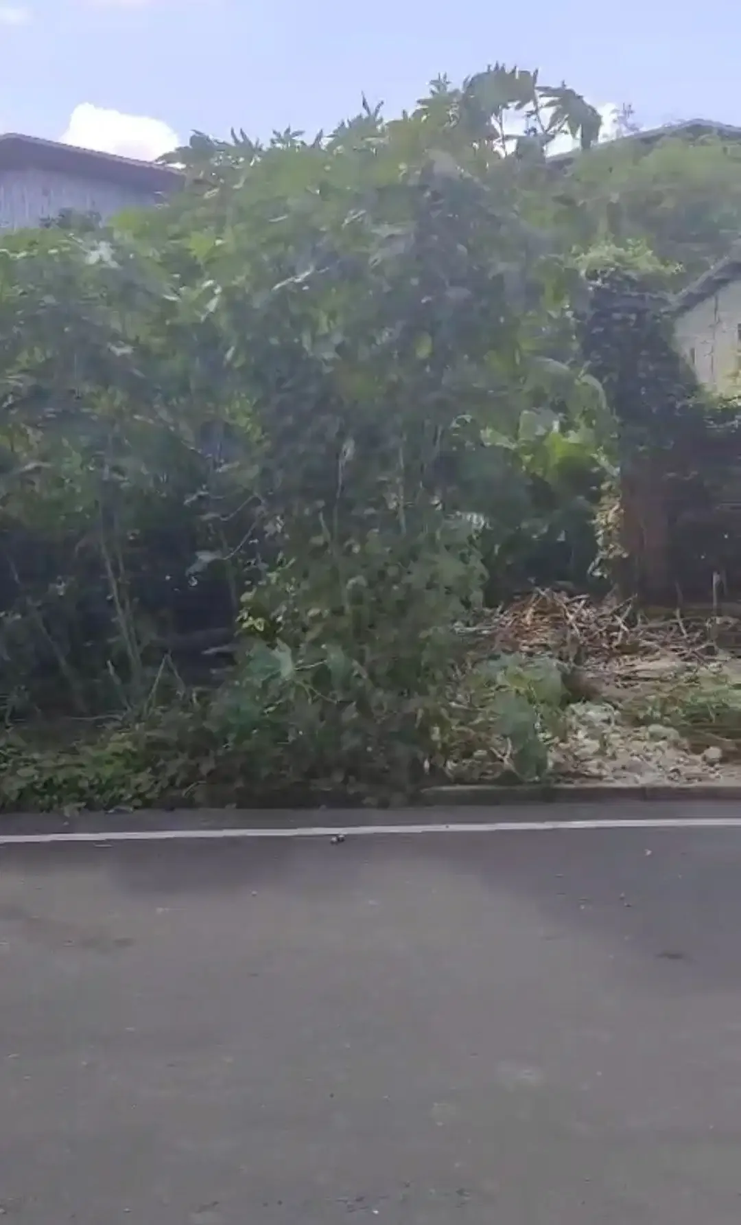 DIJUAL TANAH DI JALAN MUDING DI DENPASAR BARAT - Image 2 of 3