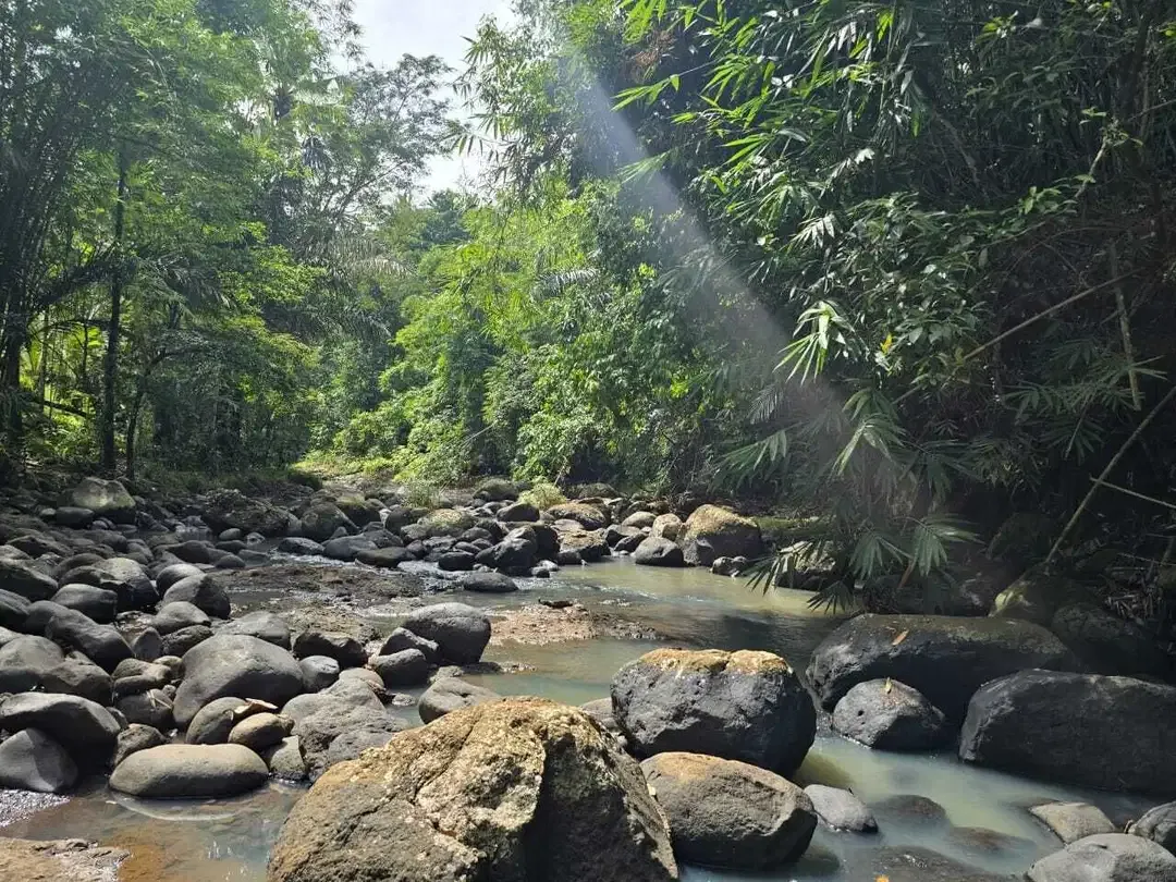 DIjual tanah dengan sungai bebatuan sangat cantik di tabanan bali - Image 2 of 10