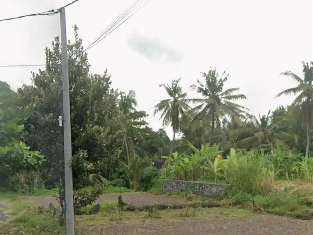 BUC 2 Are Lingkungan Villa di Saba Gianyar - Image 4 of 6
