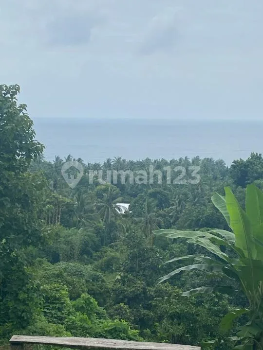 Tanah View Laut .dekat Calon Bandara Baru Kubutambahan - Image 1 of 4