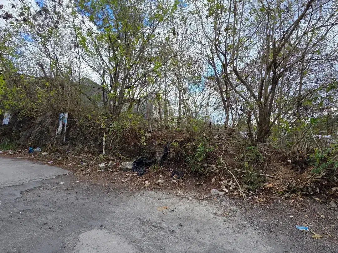 Dijual Tanah Lokasi Strategis di Pecatu - Ungasan - Image 4 of 6