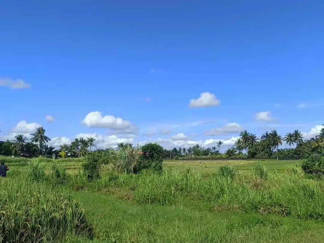 Dijual tanah lokasi pantai nyanyi tabanan Bali,lokasi sebelah barat pantai cemagi - Image 3 of 9