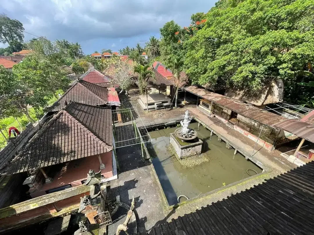 Tanah Bonus Bangunan Mas Lokasi Ubud - Image 4 of 10
