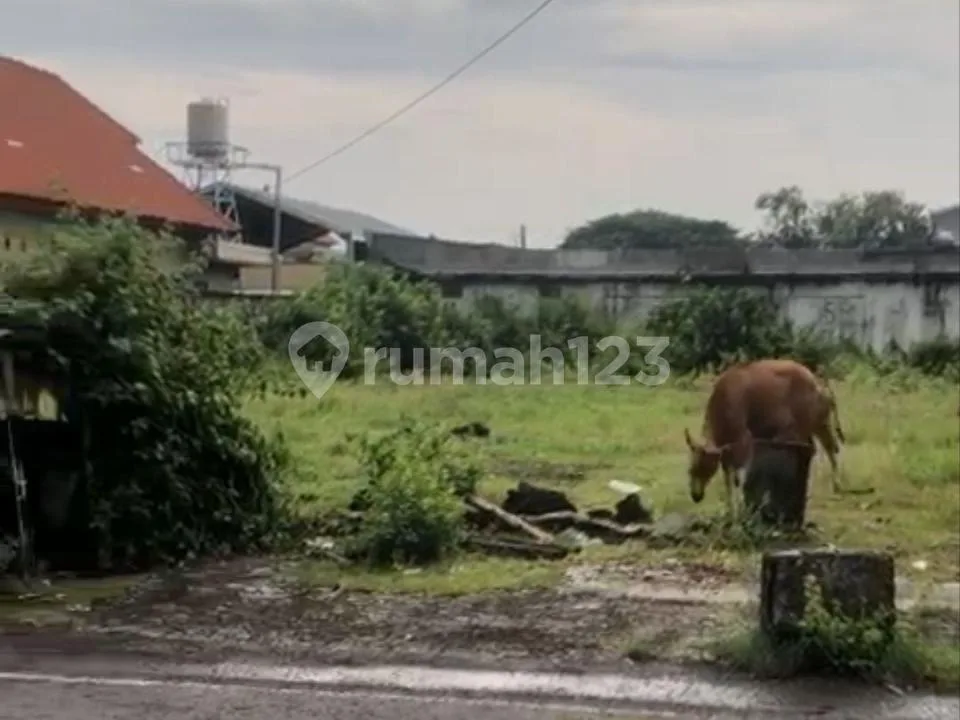 Tanah Strategis 1.680 M2 di Muding Kerobokan Badung - Image 3 of 4