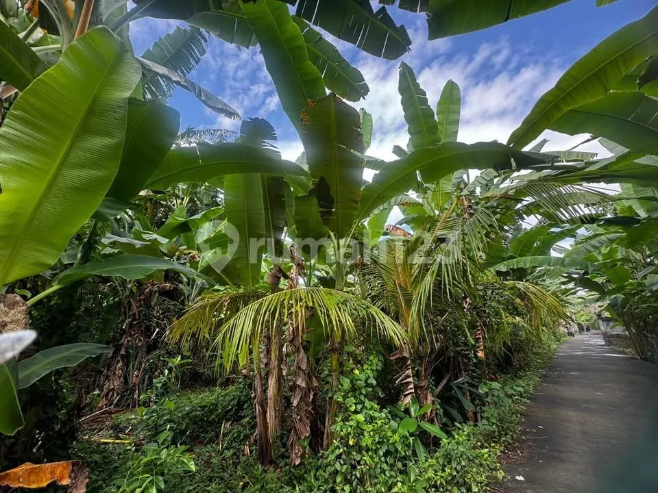 Dijual Tanah di Klungkung - Dekat Goa Lawah - Image 3 of 4