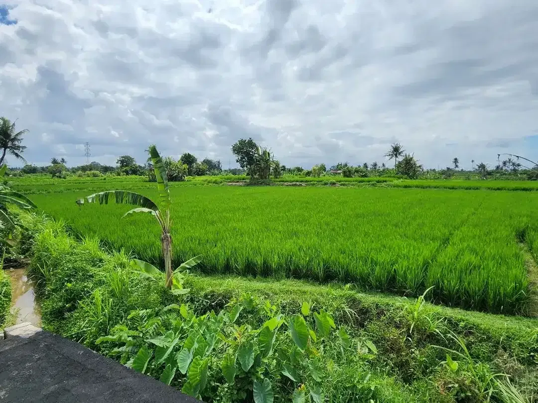 Dijual tanah kavling dengan view sawah berlokasi strategis di Pering, Blahbatuh, Gianyar - Image 1 of 7