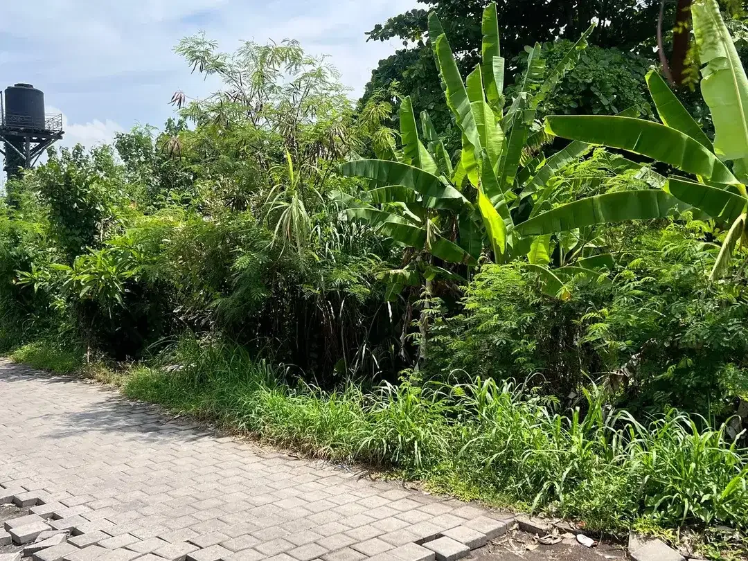 Freehold - Prime Land for Sale in Berawa, Canggu,Bali-Ideal for Villas - Image 2 of 8