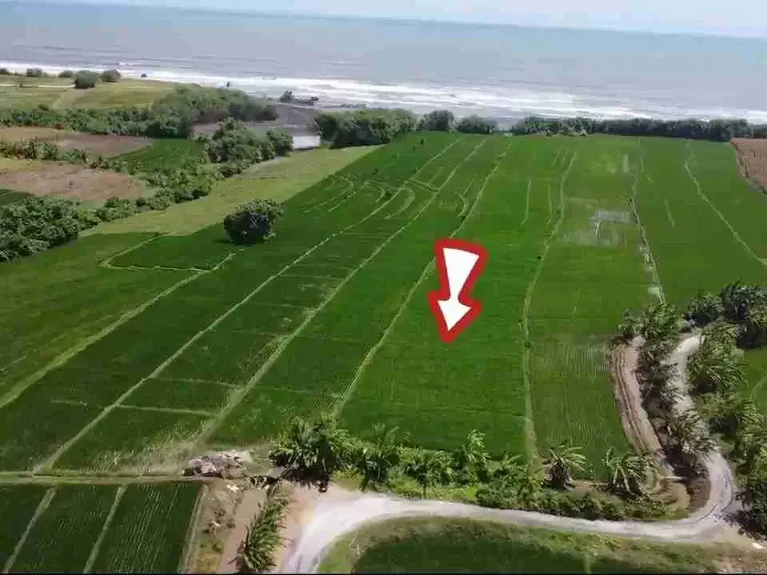 Tanah Komersial Los Pantai Pasut Tabanan Zona Wisata - Image 7 of 10