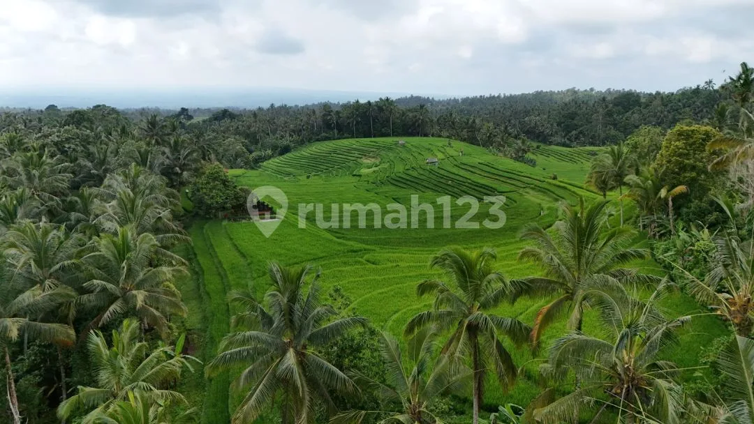 Jual Tanah View Sawah Cantik Murah Di Tabanan Bali - Image 2 of 4