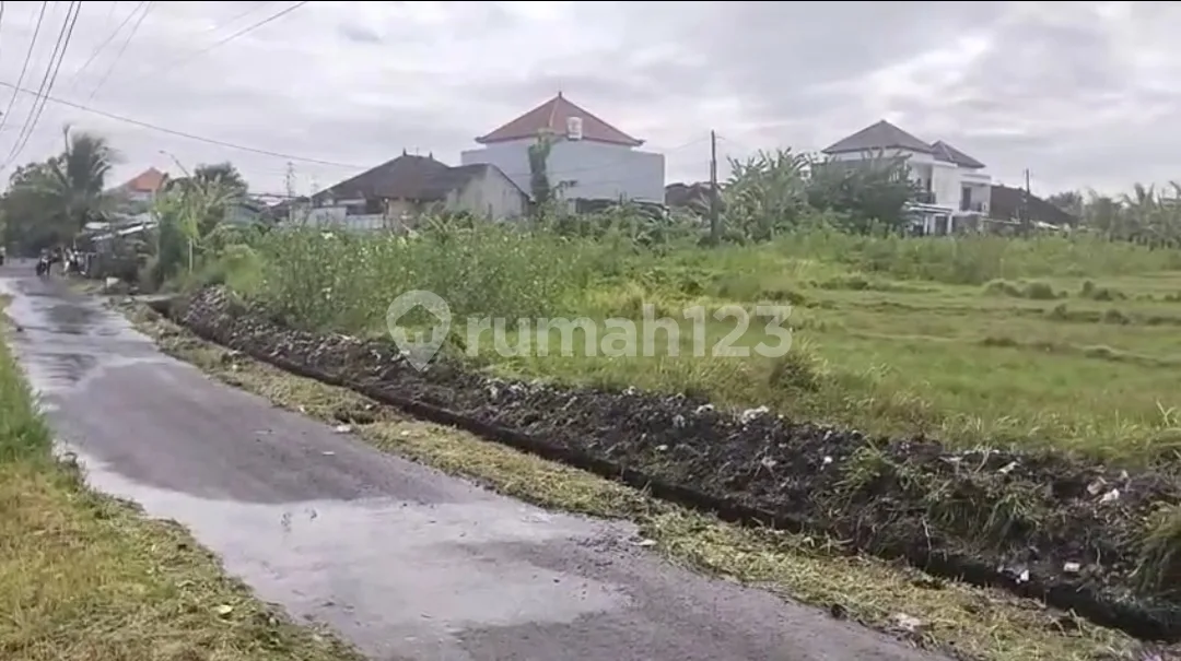 Dijual Sebidang Tanah Lokasi Jalan Cemp. Putih Dauh Peken Tabanan Dekat Rs Kasih Ibu Tabanan - Image 3 of 4