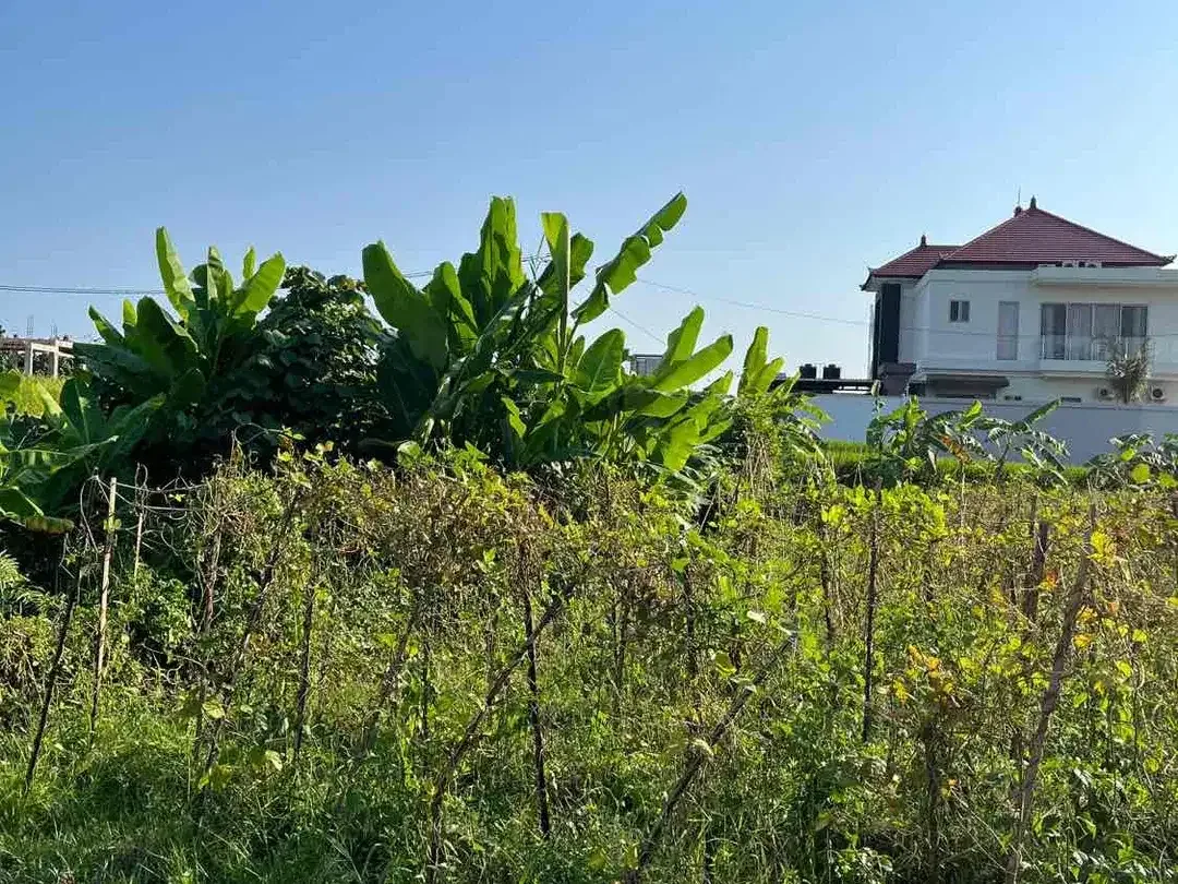 Dijual Tanah Super BUC 200 Meter Dari Pantai Kedungu - Image 4 of 7