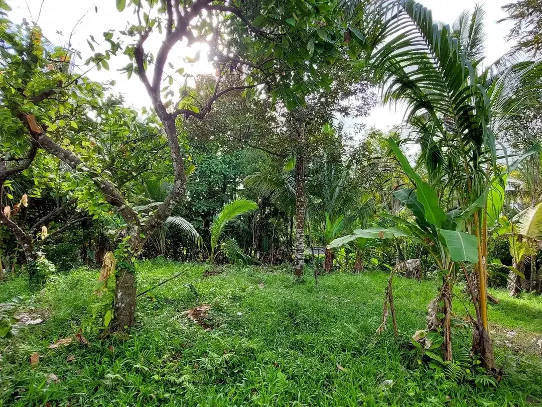 5.850 Sqm of Freehold Land for Sale with Beautiful Mountain View - Image 5 of 10