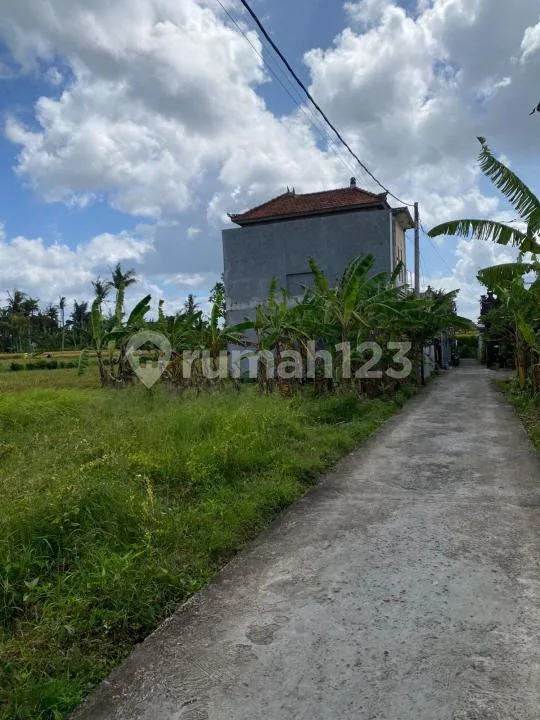 Tanah Jual Cepat SHM View Sawah Batubulan Gianyar - Image 4 of 4
