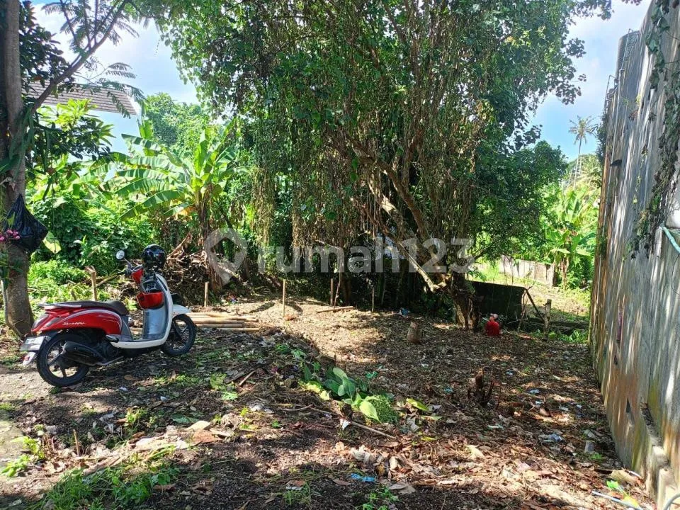 Tanah Los Sungai Strategis Dekat Pantai Seseh, Cepaka Munggu - Image 1 of 4