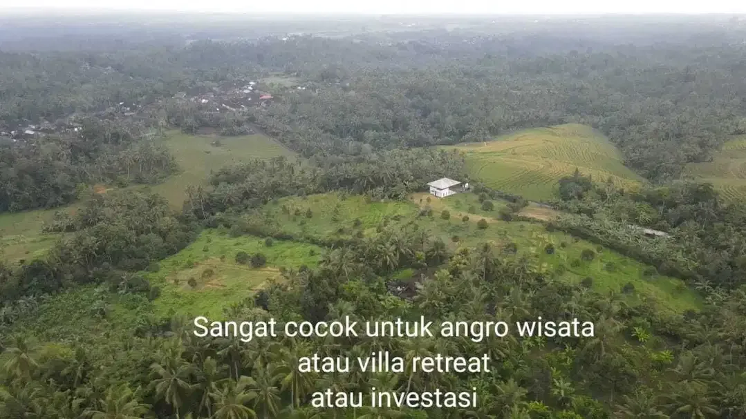 Kebun Durian View Sawah Terasering di Tabanan - Image 6 of 10