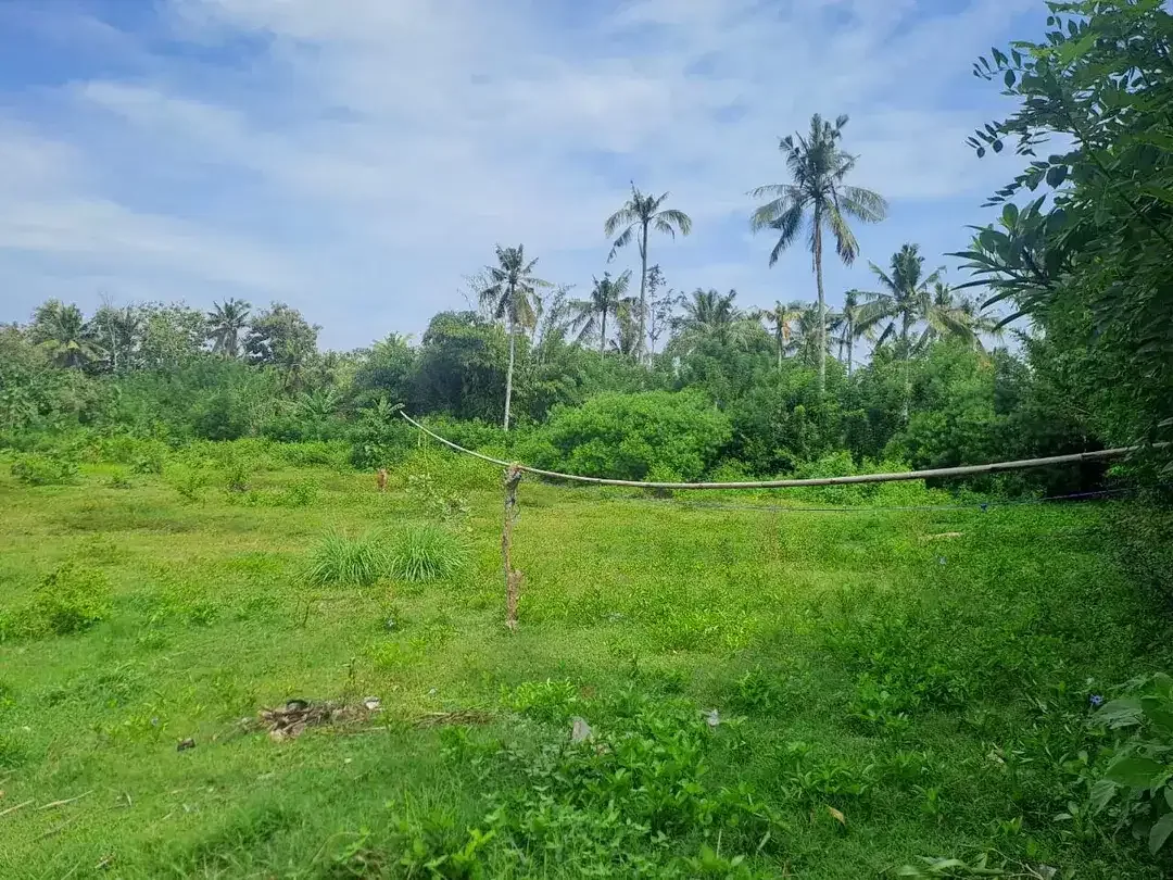 Lahan Istimewa & Prospektif: Tanah Luas 9.725 m² dengan View Gunung & Akses Strategis Denpasar–Gilimanuk - Image 1 of 5