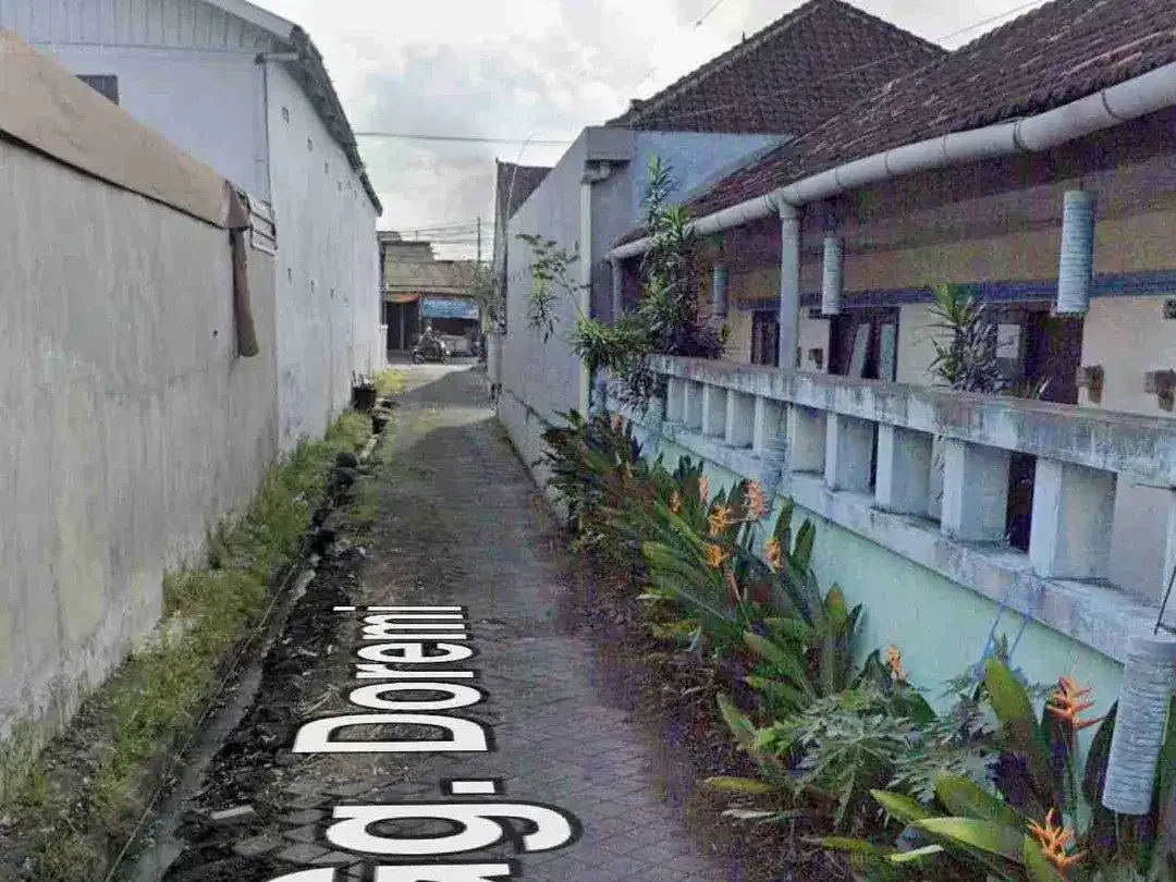 Tanah Gelogor carik denpasar - Image 4 of 5