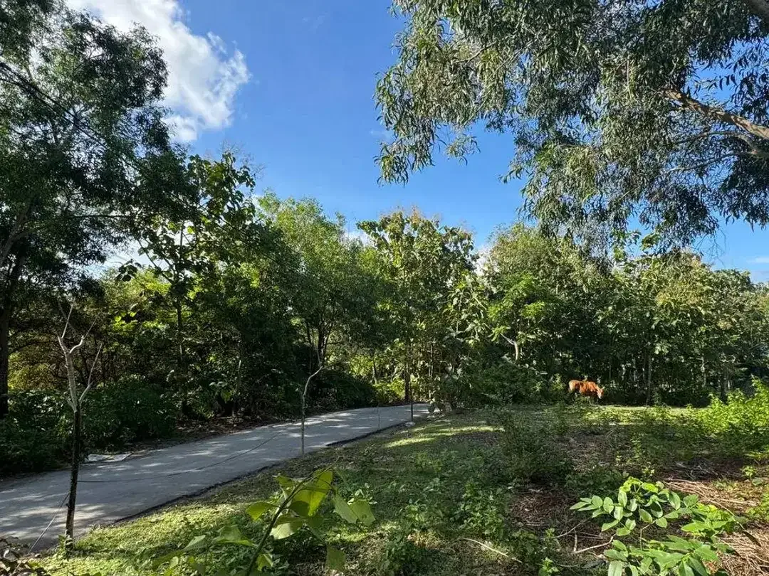 Land for Sale with Ocean View in Cemongkak Bingin Bali - Image 8 of 8