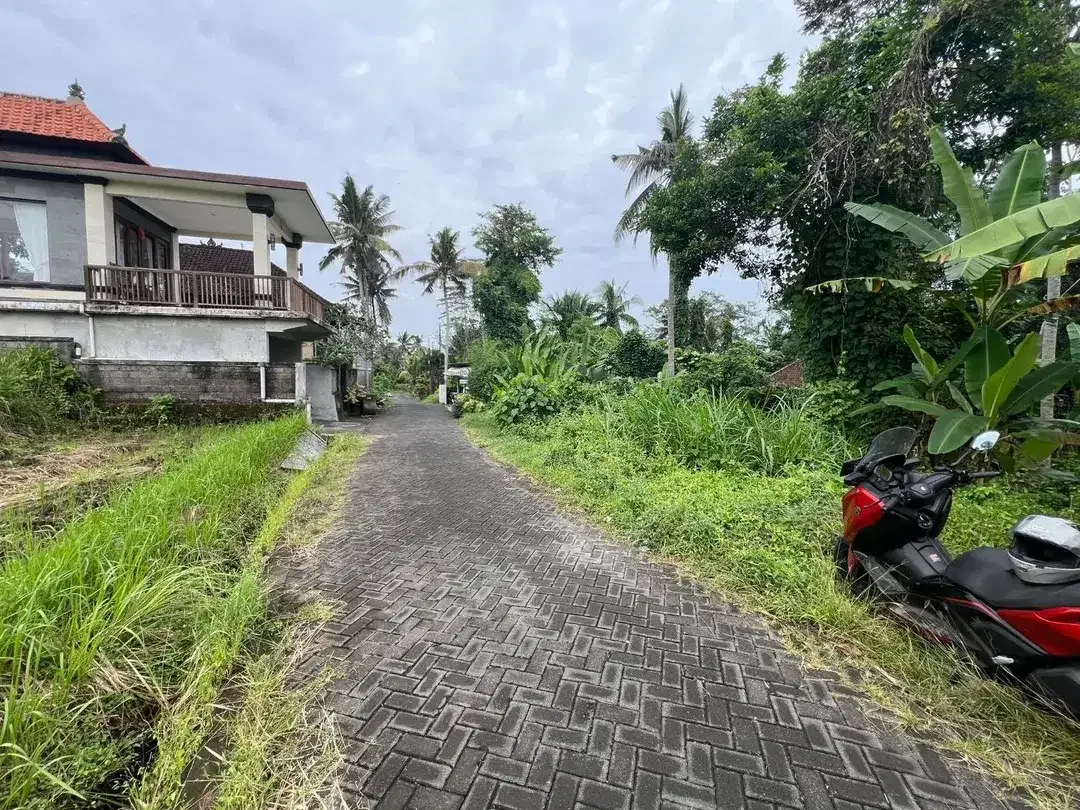 Exceptional Leasehold Land in Ubud - 19 Are Prime Land with Peaceful Jungle View near Ubud Center - Image 5 of 10