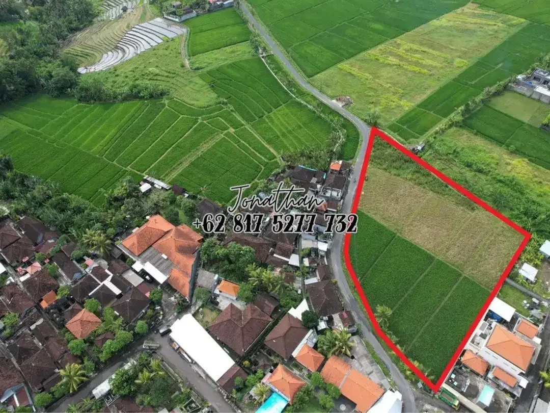Disewakan Tanah Zona Kuning di Kaba Kaba Tabanan (minimal ambil 10 are) - LLWY - Image 4 of 6